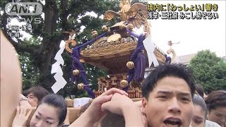 浅草・三社祭　みこし勢ぞろい　境内に「わっしょい」響き(2023年5月20日)