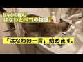 はなわの親父。はなわとペコの物語。「はなわの言葉」始めました。