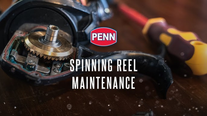 How to restore and service a grease frozen Penn 704Z spin fihing