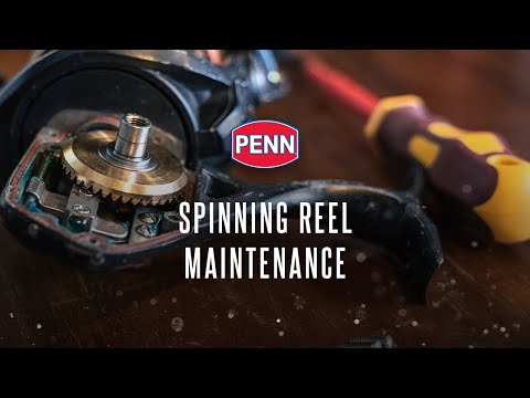 PENN Easy Reel Maintenance  Spinning Reel Maintenance 