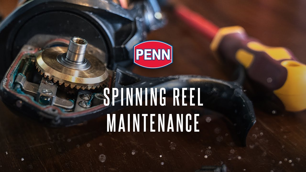 PENN Easy Reel Maintenance  Spinning Reel Maintenance 