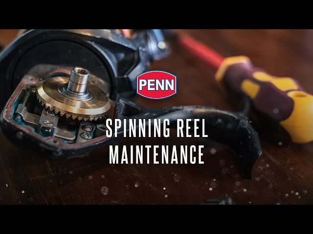 PENN Easy Reel Maintenance  Spinning Reel Maintenance