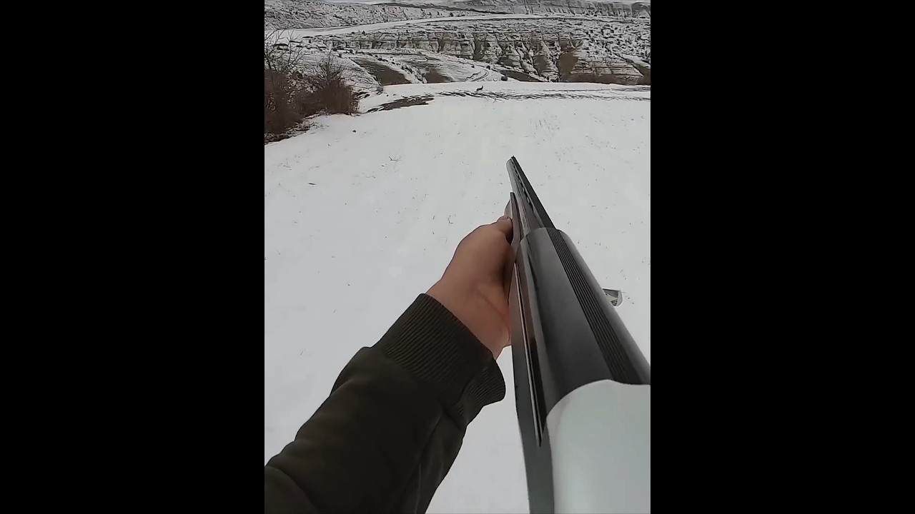 «Охотничье приключение провалилось из-за сильного снегопада»