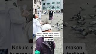 kasih makan burung yg tak pernah terlihat #tunanetrabisa #generasiquraniyangkuatdanamanat