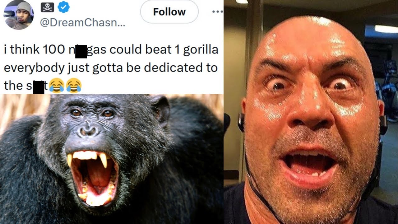 100 Joe Rogans vs 1 Gorilla - YouTube