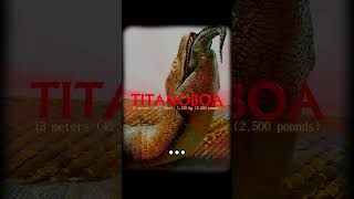 The biggest snake in the world😱🐍#snake #facts #shorts #ytshorts #viral #trending #world