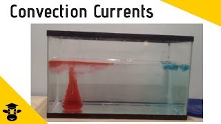 Convection Current Demonstration