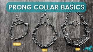 Prong Collar Basics | Freedom K9 Training