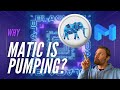 Polygon Matic Crypto | Here's what all the hype is about