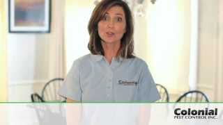 Colonial Pest Control - Mice Removal in MA & NH