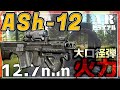【EFT】高貫通力×大ダメージ弾で敵をすり潰す 東の異端児 大口径ブルパッブ! 【ゆっくり実況】