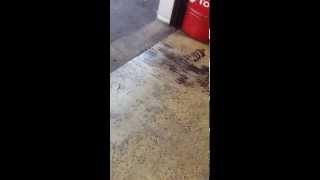 Roxys New Cam 223 235 .625 .625 116Lsa