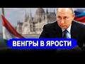 МАРАТОРИЙ НАРУШЕН.. Венгрия пошла против России, и отве