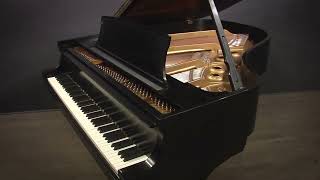Steinway L 510 Grand Piano (#430498)