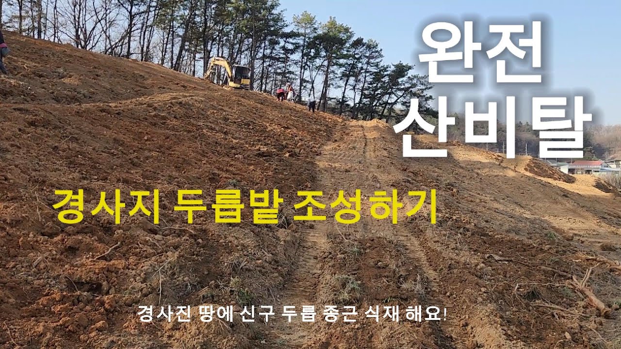 급경사지에 두릅밭 조성하기