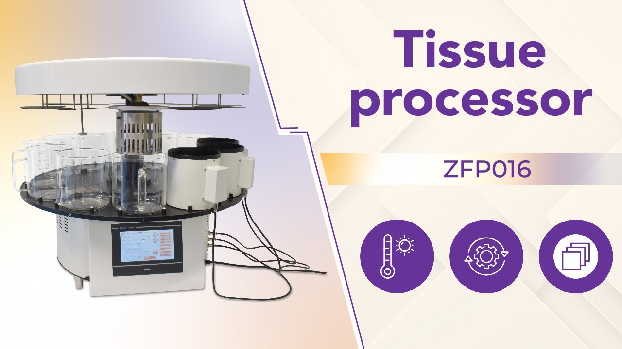 Tissue processor, ZFP016