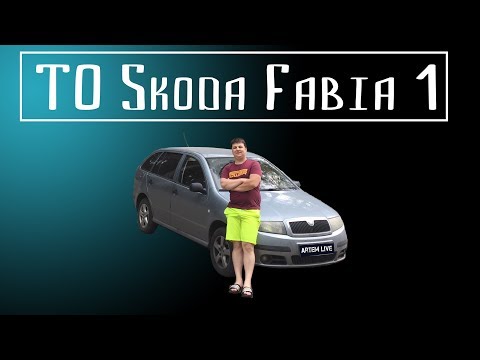 Skoda Fabia. Шкода Фабия. Замена топливного, воздушного фильтра. Замена салонного фильтра