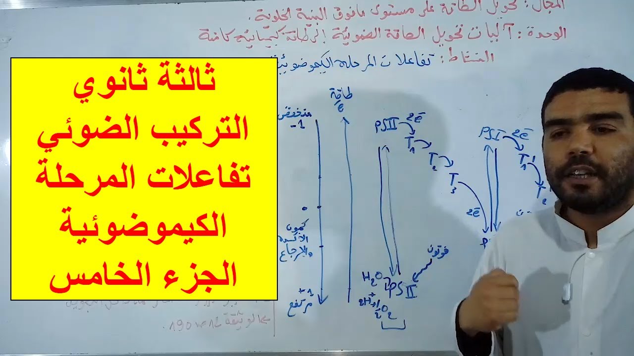 تفاعلات المرحلة الكيموضوئية (الجزء الخامس)