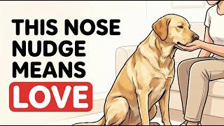 6 Reasons Your Dog Nudges Your Hand With Their Nose (Do This and They’ll Feel Loved)