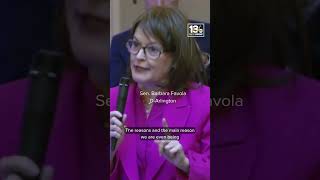 Virginia senators debate mid-cycle redistricting