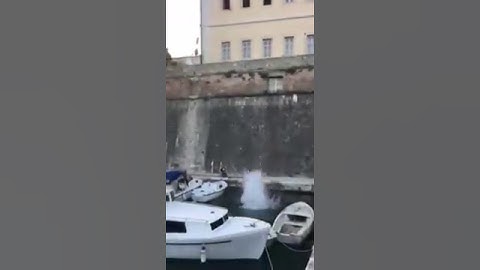 Skok u Fošu s Kopnenih vrata - Roko Čirjak 2016
