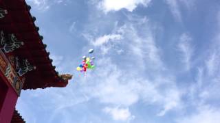 Brienn Daniel And Nathaniel Kyle Letting Go Of Balloons