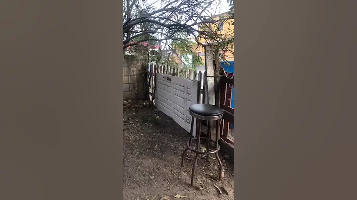 JAMAICANS FIGHTING OVER A CHARGER  #trending #jamaica #fight #shortsfeed #shorts