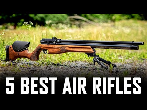 5 Best Air Rifle For Air Arms Lovers - Best Air Arms PCP Rifles