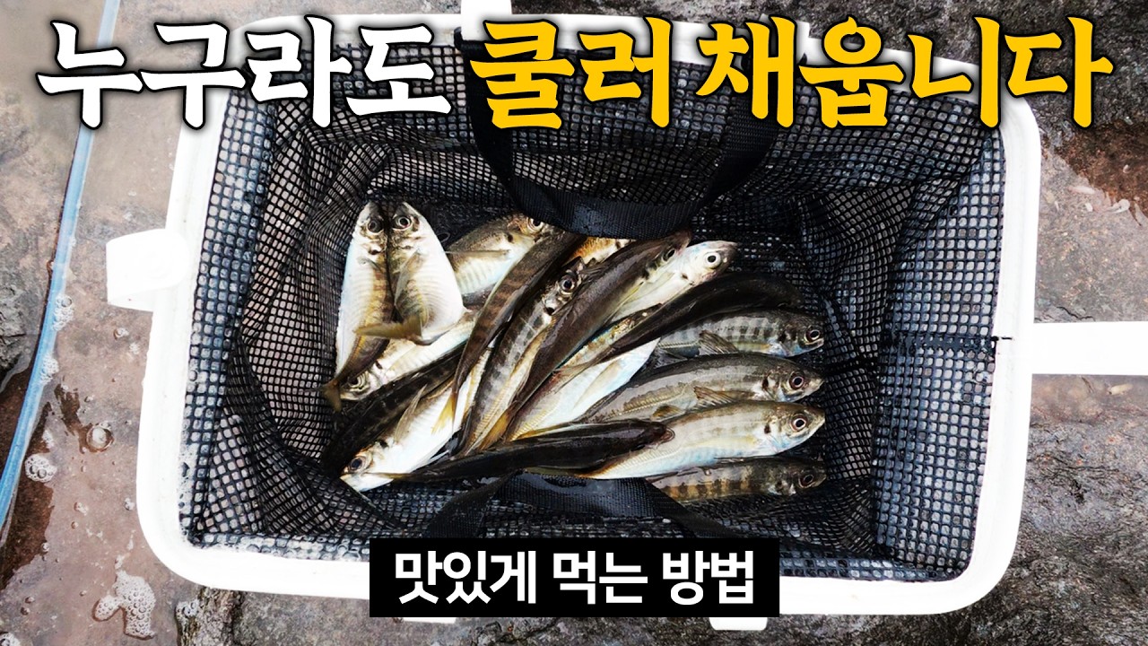 누구라도 쉽게 잡을수 있는 녀석... 맛있게 먹는 법 알려드립니다