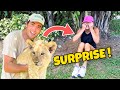 SURPRISING MY MOM WITH BABY LION ! MOTHER'S DAY GIFT !!