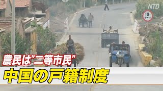 〈字幕版〉中国の戸籍制度とは