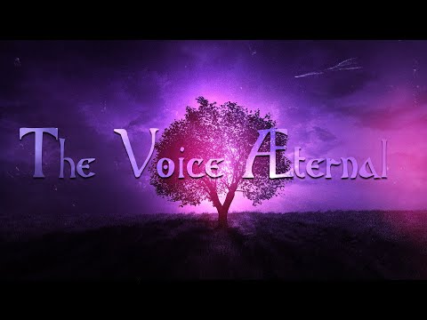 THE VOICE ÆTERNAL - The Voice Æternal feat. DANNY CAVANAGH (Official Lyric Video)