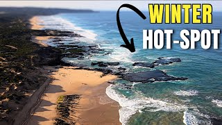 This Beach Comes ALIVE In Winter | St Andrew’s Beach Fishing Guide