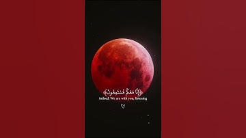 *سورة الشعراء* إسلام صبحي *أرح قلبك وسمعك 🎧🌿❤