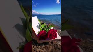 Gül Renginde 🌹 Resimi