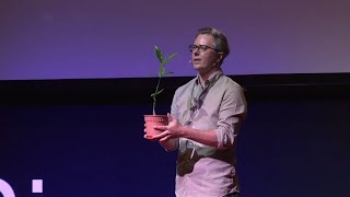 Case for optimism- The ecosystem protecting coastlines & storing carbon | Dan Friess | TEDxSingapore