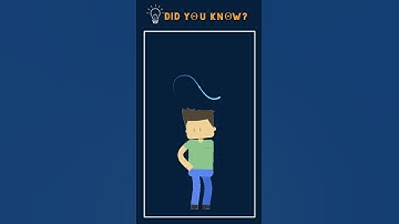 Did you know how to Find Best Option Trading Strategies?