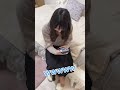彼女ご本人を褒めてみた #shorts