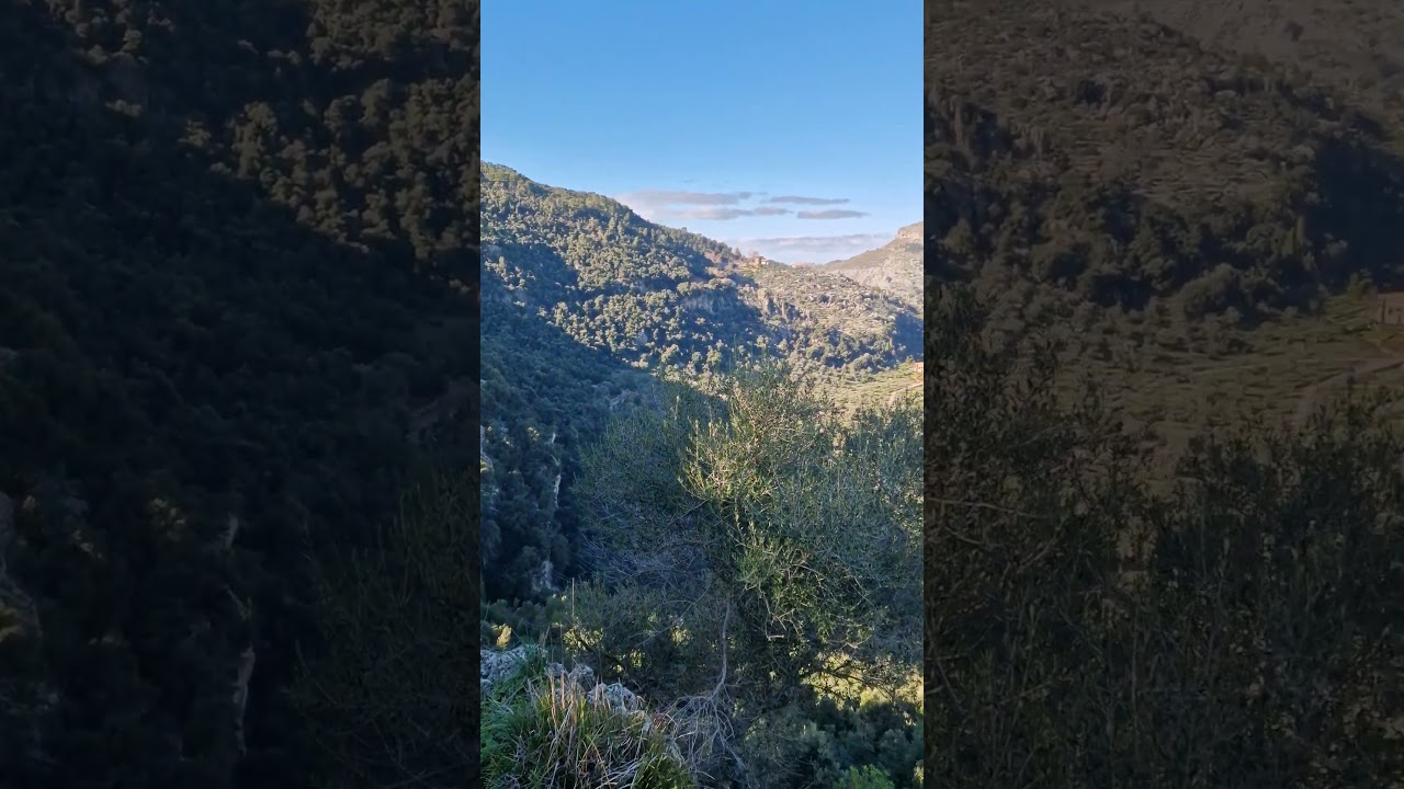 Panorama of mountains near Lluc Monastery, Mayorca, Spain 🇪🇸