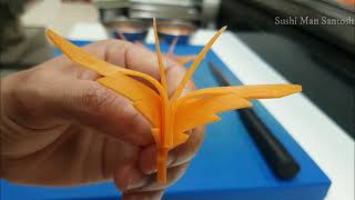 Beautiful Carrot Butterfly Garnish II Carrot Carving Beautiful Carrot Butterfly Garnish II Carrot Carving