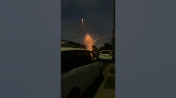 3inch display shells