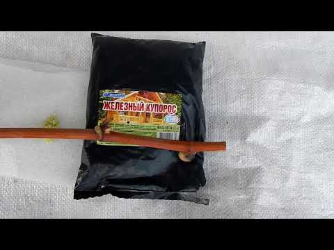 Железный купорос на винограднике. Правильное применение.