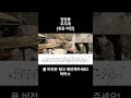 무지개 - 임영웅 [Normal] 드럼커버, 드럼, drum, drums, drum cover, 탁탁, 드럼연습, 악보포함, 악보, 드럼악보 #shorts