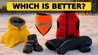 Top 5 Best Winter Pet Safety Gear 2026 - Keep Your Pets Safe This Winter