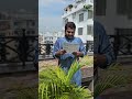 অক্টোবর মাসের তরমুজের জাতসমূহ  #everyone #agriculture #viralshort #highlights #farming