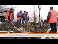 Зелёная Волгоградская: в Саранске коммунальщики высаживают тополя там, где раньше был асфальт
