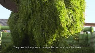 MOOC From Grass to Product - 5. Processing and applications of grass