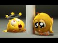 Where&#39;s Chicky? Funny Chicky 2022 | THE FAIL | Cartoon in English for Kids | New episodes