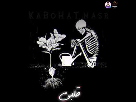 حاله واتس اب مهرجان ارض الوجع