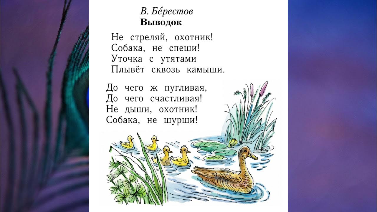 В берестов обида. Берестов выводок. Выводок стихи Берестова. Берестов выводок стихотворение. Стихотворение выводок.